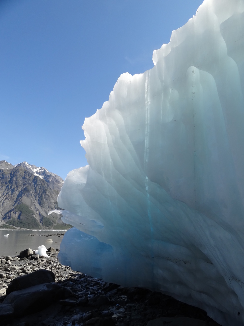 Preview: Into Ice | SeattleDances