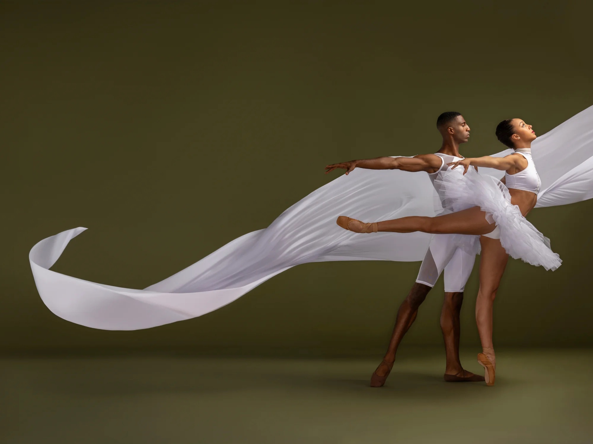 DTH-Show-Header